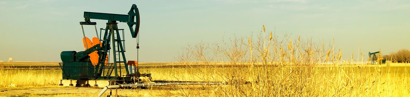 explore open acreage